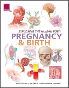 Exploring the Human Body: Pregnancy and Birth
